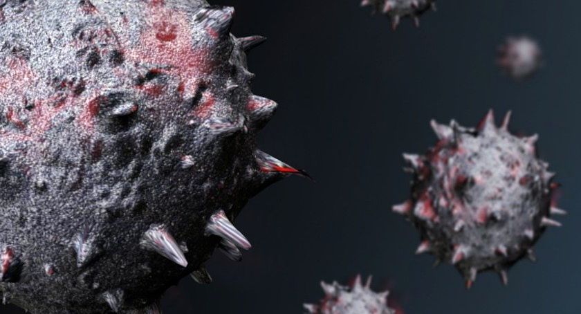 Epidemia trwa. 60 nowych zkażonych koronawirusem w powiecie starachowickim