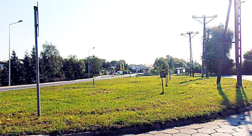 Piątka (nie)zagrożona