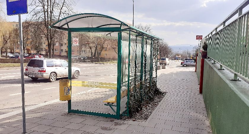 Które kursy wracają na rozkład jazdy autobusów?