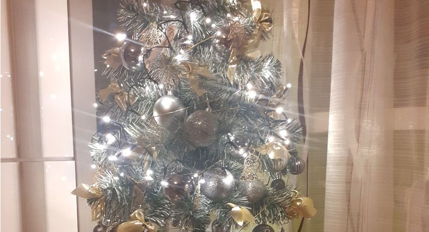 Pochwalcie się swoją choinką, razem stworzymy świąteczną galerię...  