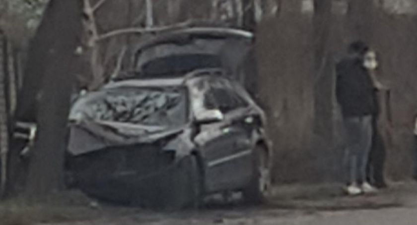 Przed Wigilią na drogach nie uważają. Pijany zatrzymał się na drzewie 