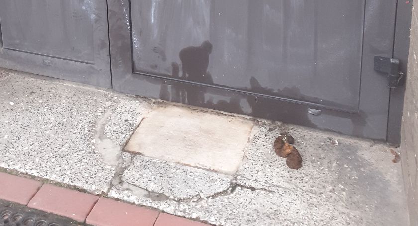 Kupa wstydu, nic więcej!