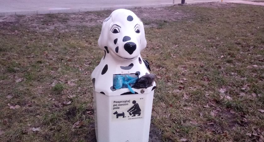 30 pojemników na psie kupy w Starachowicach to za mało...