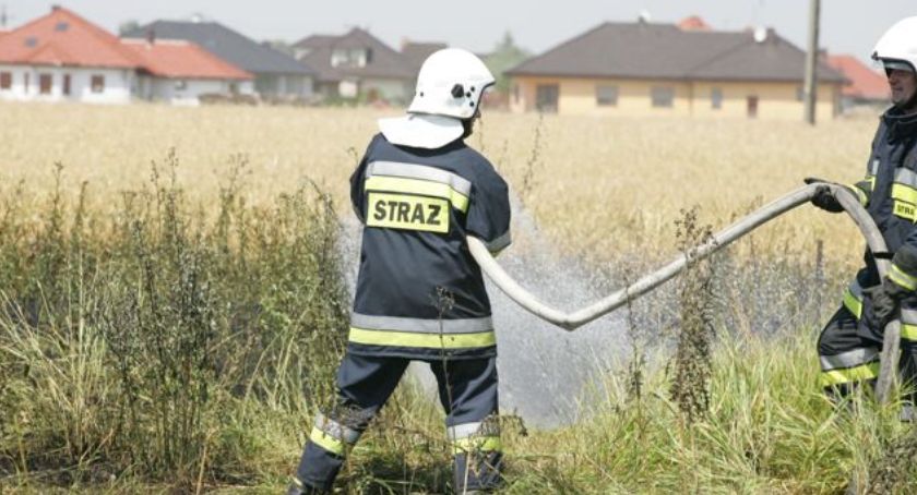 Podpalacze traw poczuli już wiosnę. Kto to przerwie?
