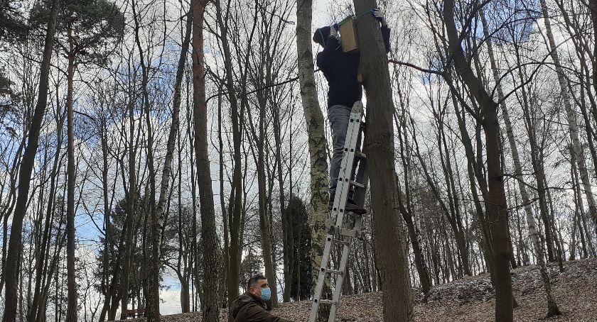 Starachowice. Lęgowe budki dla ptaków