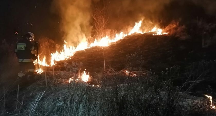 Pożary traw na terenie gminy Pawłów. Gdzie jest podpalacz?