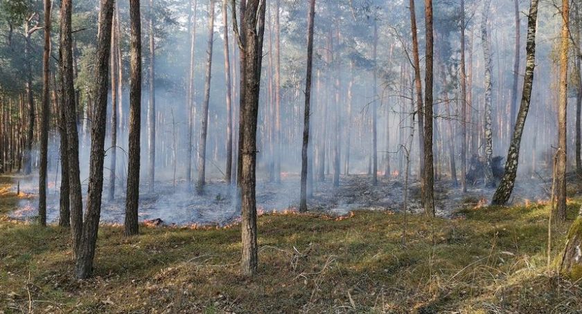 Apele nie są w stanie ich zatrzymać. Podpalacze przypomnieli o sobie ponownie