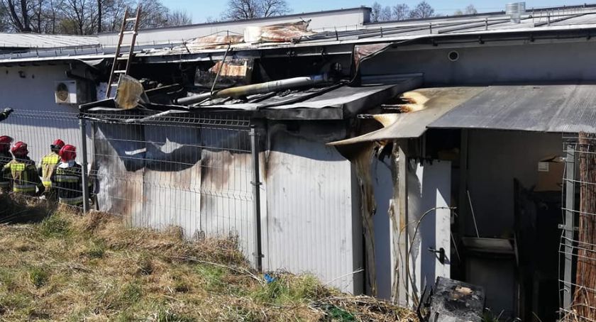 Pożar na terenie gminy Brody. Dlaczego do niego doszło? [ZDJĘCIA]