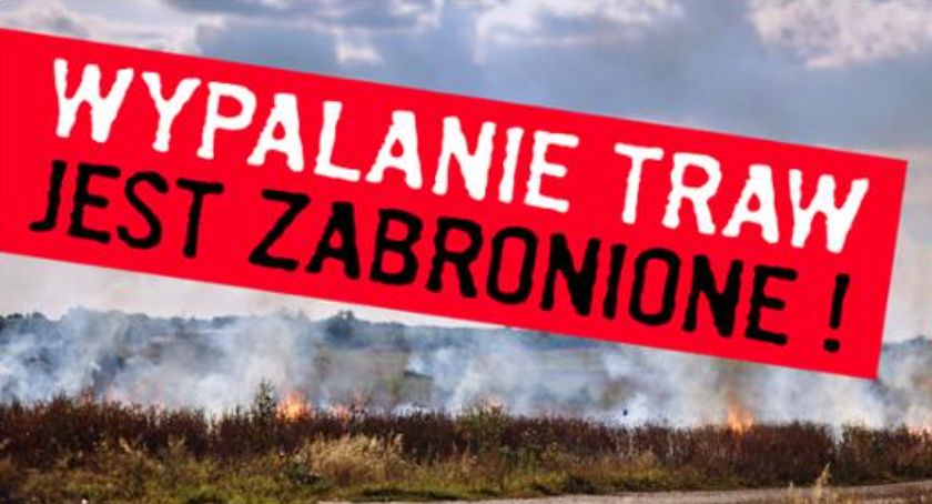 Bezmyślnych podpalaczy nadal nie brakuje. Gdzie tym razem?