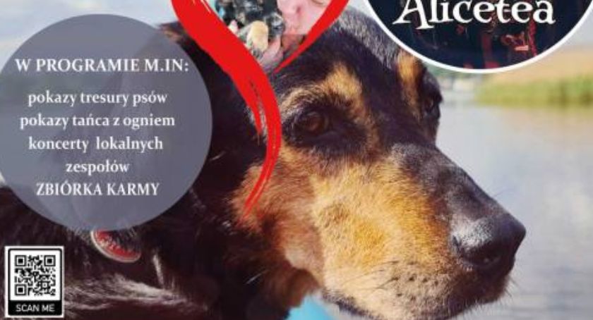 Otwórz serce i wesprzyj zwierzęta