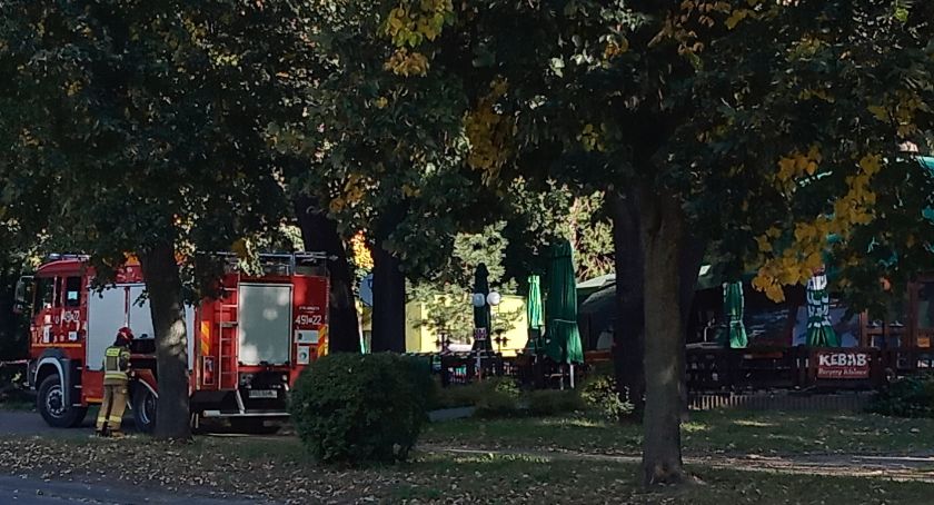 Niebezpieczny konar nad głową. Interweniować musieli strażacy