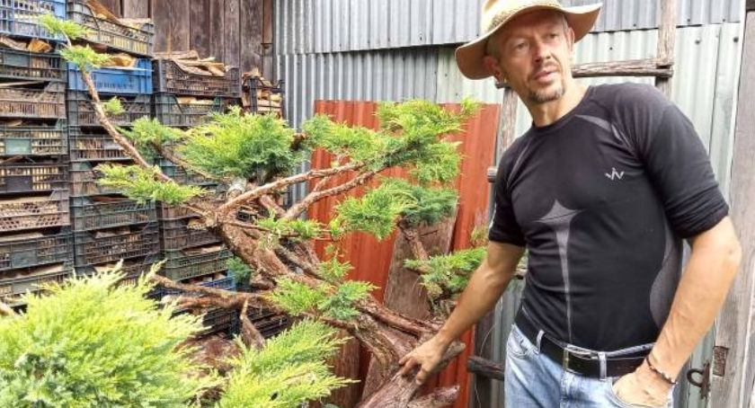 Pasje pana Sylwestra: bonsai, smaragd i inne byliny