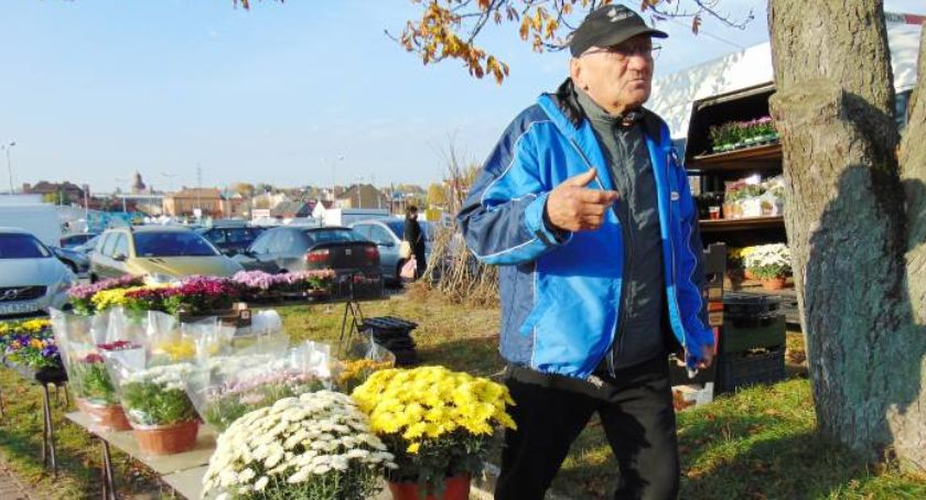 Chryzantemy z Pawłowa - które są najpopularniejsze?