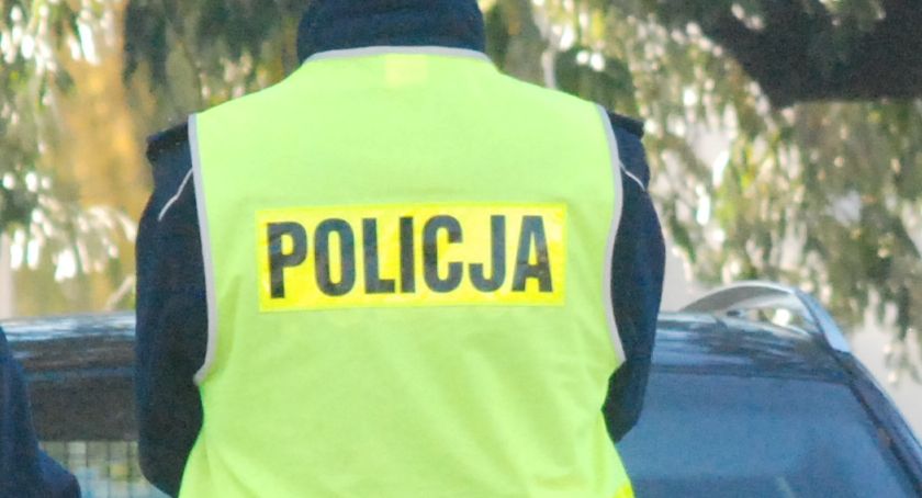  Kolizja na drodze krajowej nr 42. Nie żyje dzikie zwierzę