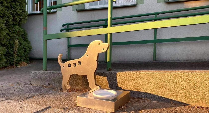 Parking dla psów w Starachowicach