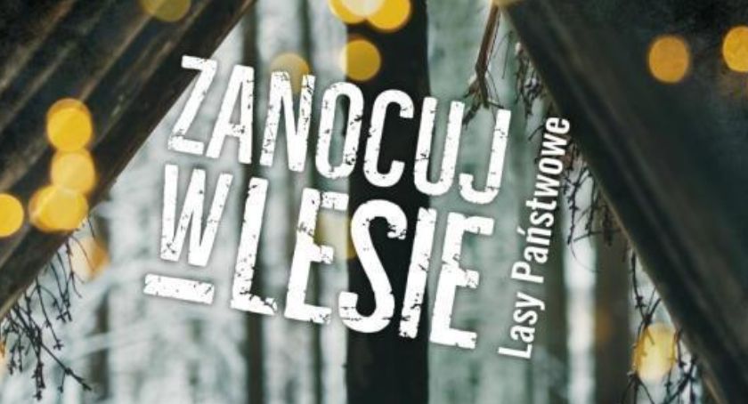 Zanocuj w lesie! Biwakuj w lesie!