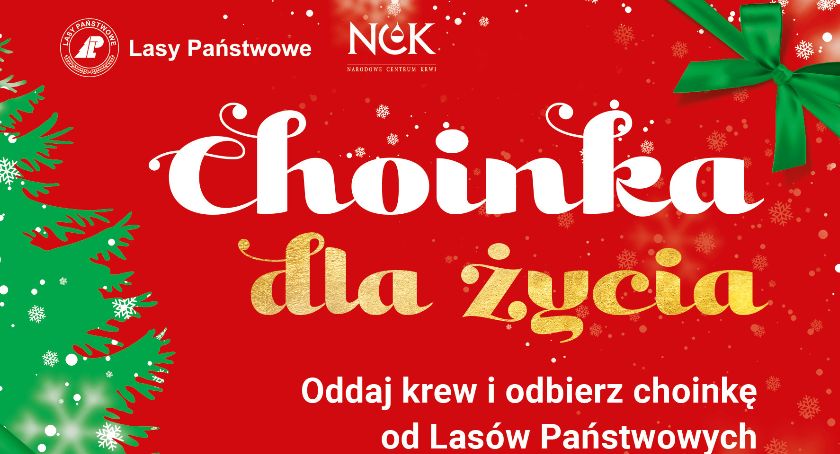 Żywe choinki od Lasów Państwowych dla krwiodawców