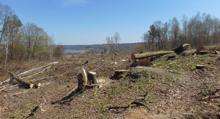 Siedem firm chce budować obwodnicę Starachowic