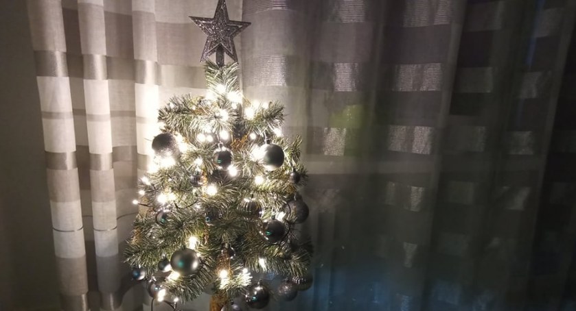 Choinka ubrana? Gotowi na święta?