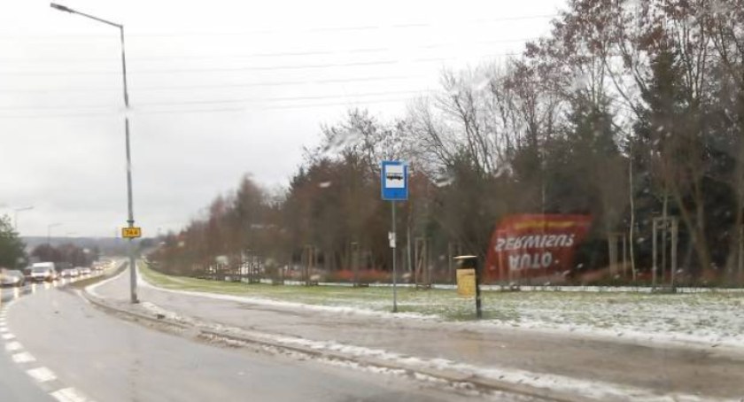 Uschłe drzewka na wiadukcie w Starachowicach?