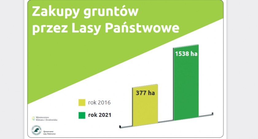 Lasy skupują lasy...