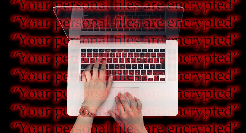 Cyberatak na mieszkankę Starachowic. Jej pieniądze skonfiskowane przez złodzieja
