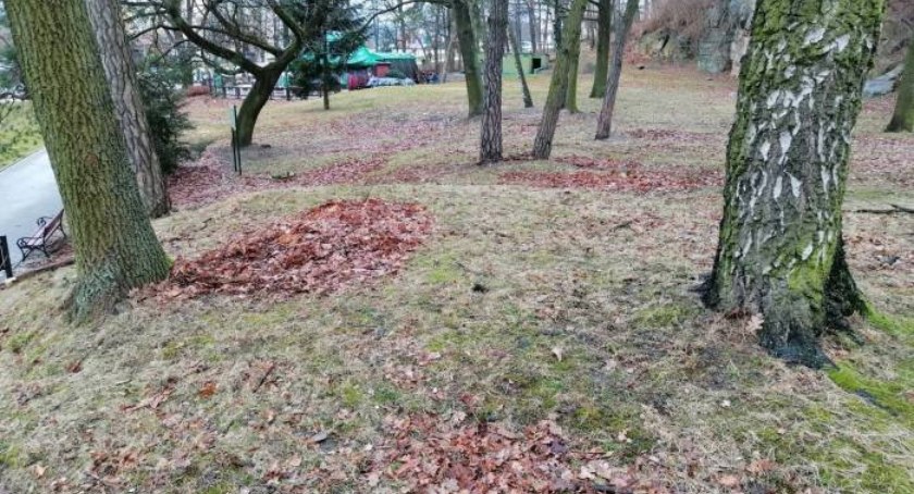 Starachowice. A liście leżą i gniją