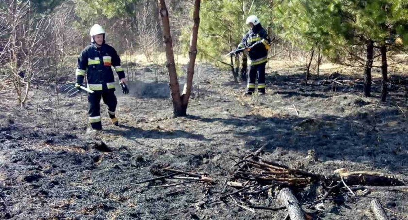 Kto powie wreszcie STOP wypalaczom traw? Od kilku dni strażacy walczą z tą plagą