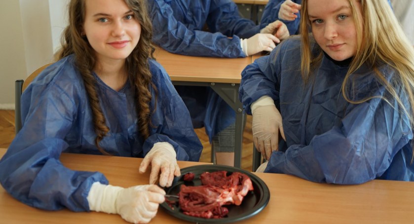 Krojenie serca. Dzień nauk ścisłych w Społecznym Liceum STO w Starachowicach
