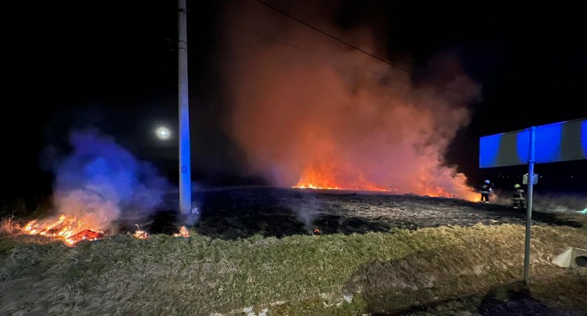 Podpalacze traw ponownie przypomnieli o sobie. Gdzie tym razem?