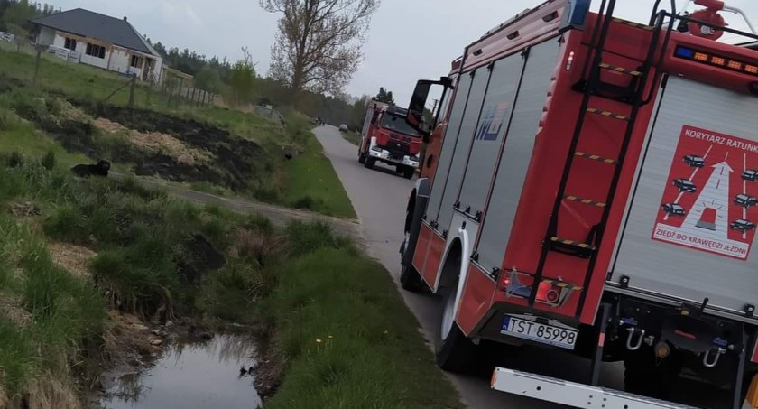 Pożary w Wielkiej Wsi i Lubieni. Podpalacze ponownie dali o sobie znać