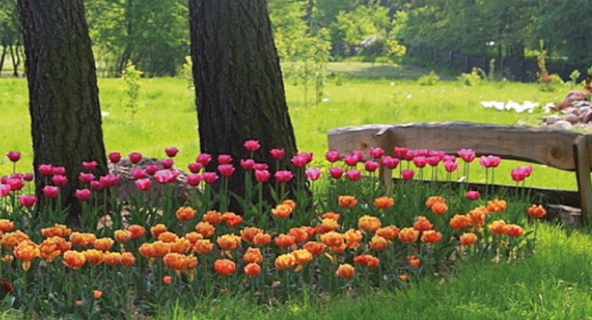 Leśny Piknik Majowy w Marculach