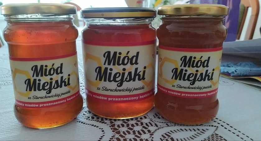 Co z miejską pasieką?