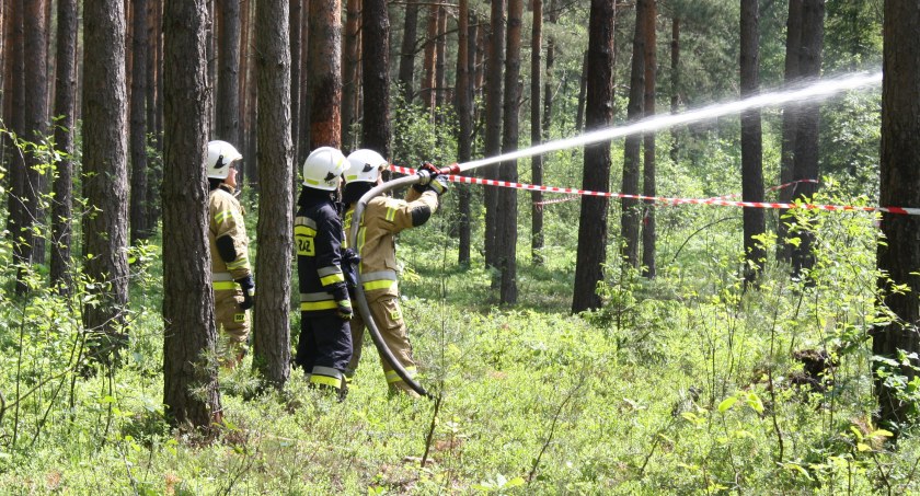 Wielki pożar na terenie gminy Mirzec. W akcji zastępy z kilku powiatów 