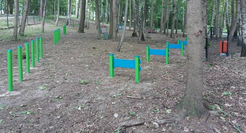 Dog park w Starachowicach bez powodzenia?
