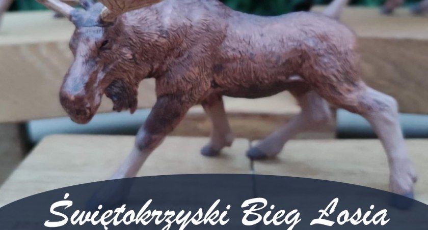 Do rozpoczęcia lekkoatletycznej imprezy coraz mniej czasu. Kto wygra Świętokrzyski Bieg Łosia?