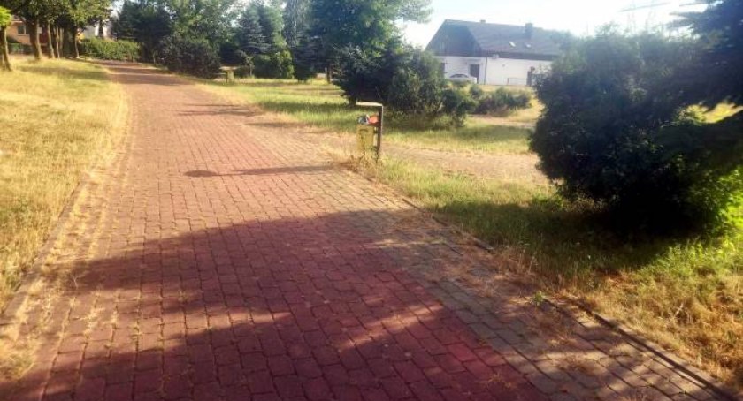 Wycięte ławki na Południu, to sposób na demolkę?