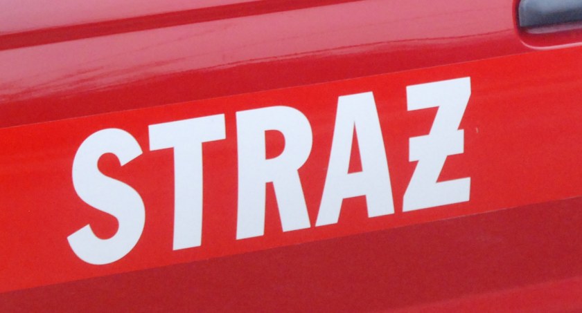 Podczas zbioru owoców na terenie gminy Pawłów. Stracił przytomność