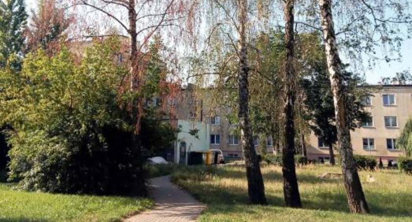 Na osiedlu Majówka drzewa do wycinki! Dlaczego?
