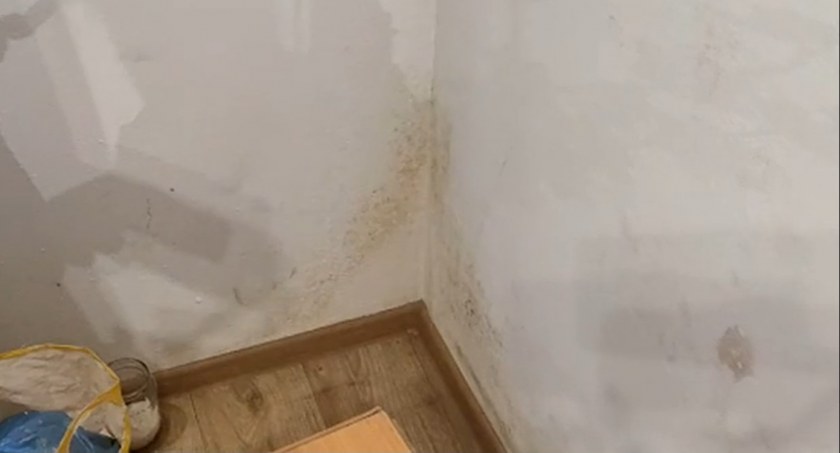 Wilgoć i grzyb w mieszkaniu socjalnym w Starachowicach. Co na to władze miasta?