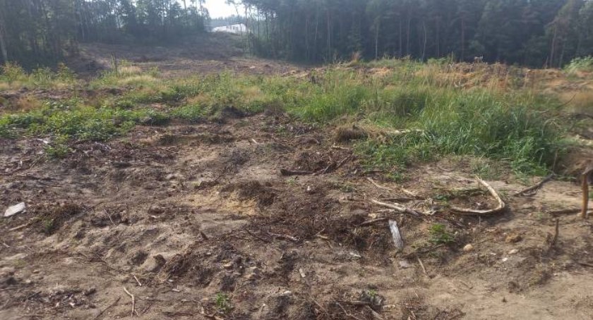  Czy na trasie budowanej obwodnicy w Starachowicach jest zbiorowa mogiła Żydów? 