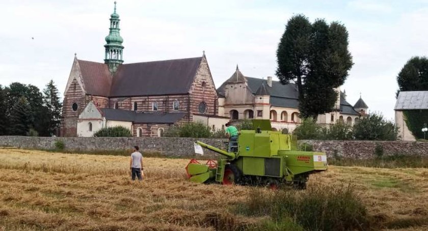 Żniwa u Cystersów w Wąchocku