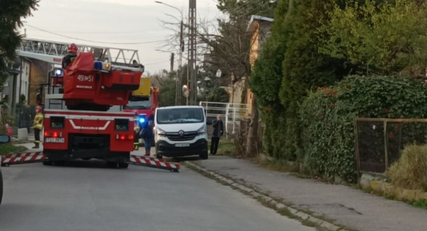 Niebezpieczne drzewo w Starachowicach. Interweniowali strażacy