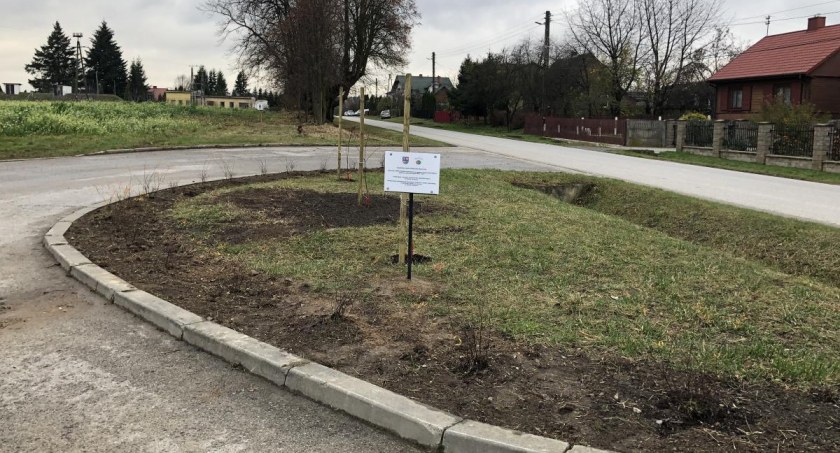 Nowe nasadzenia w gminie Wąchock