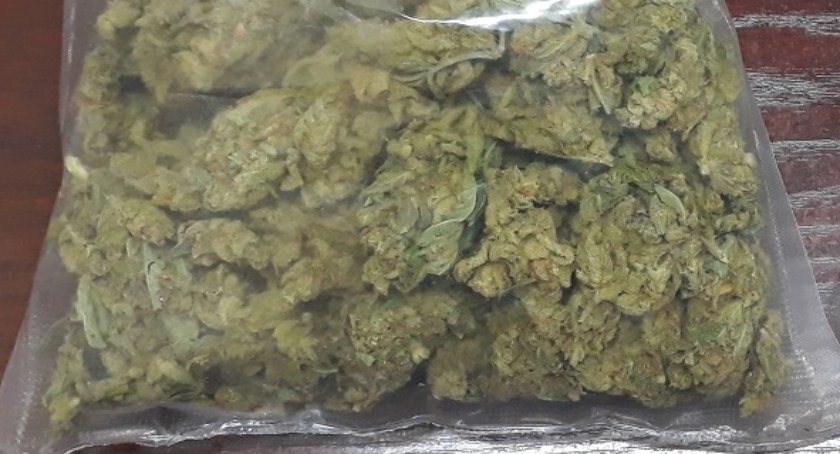 Ruch Marka Materka za legalizacją marihuany. Jeden wpis - różne reakcje. 