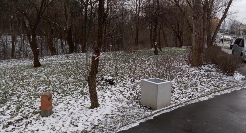 Budowa ścieżek rowerowych a wycinka drzew w Starachowicach