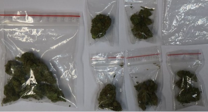 Marihuana w mieszkaniu starachowiczanina. Trafi za kraty?