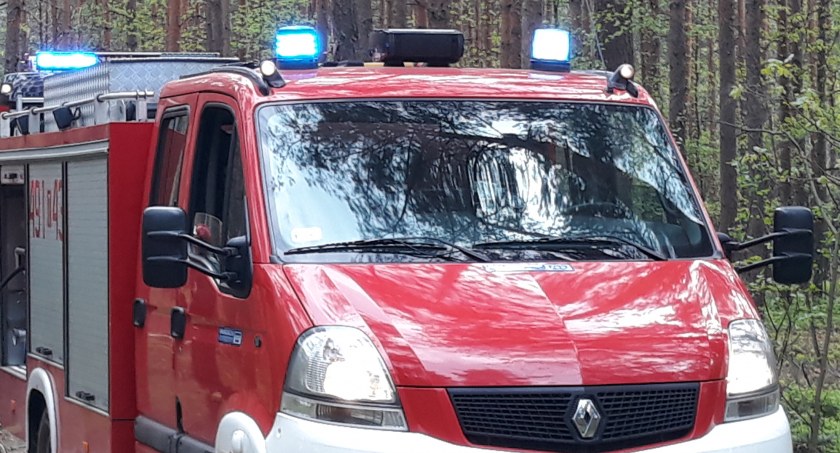 Pożar na terenie gminy Mirzec. Błyskawiczna akcja strażaków