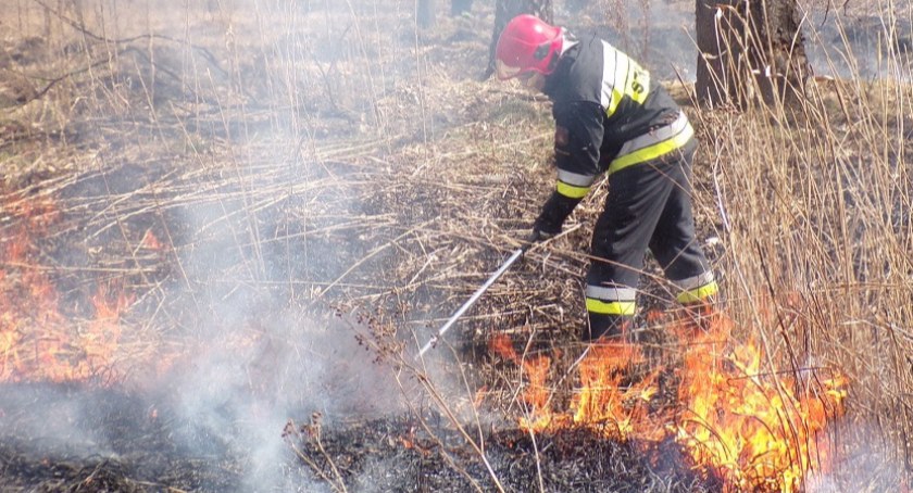 Nieużytki w ogniu. Strażacy ze Starachowic gasili kolejne pożary