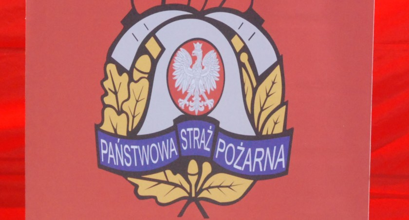 Pożar w Starachowicach. Podpalacz na nieużytkach